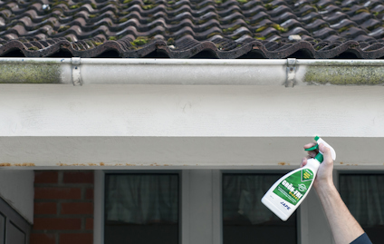 GRÖN-FRI DIREKT 0,5 L SPRAY BIOCID