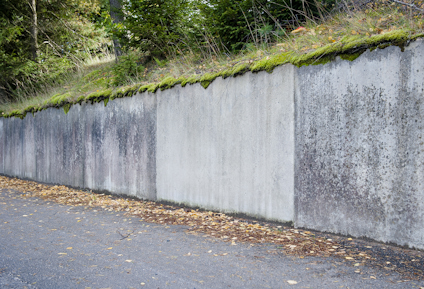 GRÖN-FRI 5 L BIOCID