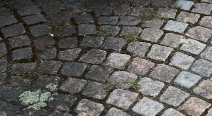 GRÖN-FRI 5 L BIOCID