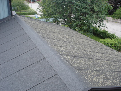 GRÖN-FRI 5 L BIOCID