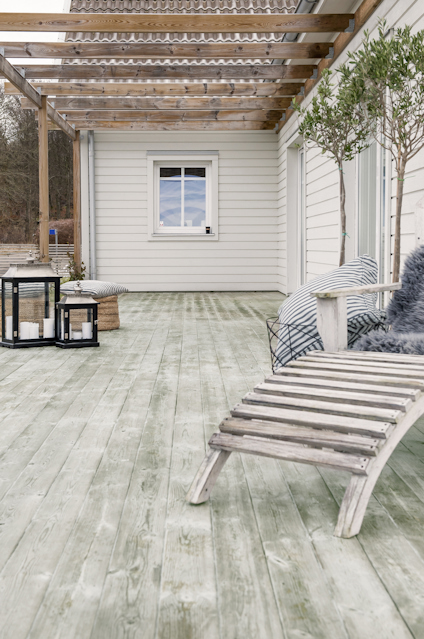 GRÖN-FRI DIREKT 0,5 L SPRAY BIOCID