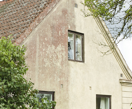 GRÖN-FRI 5 L BIOCID