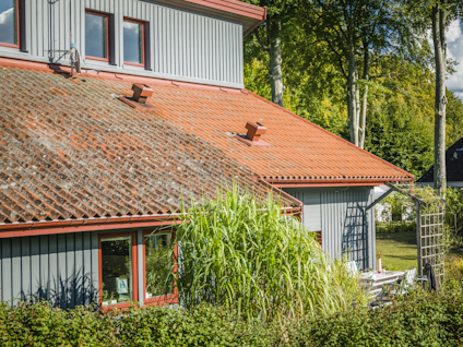 GRÖN-FRI 5 L BIOCID