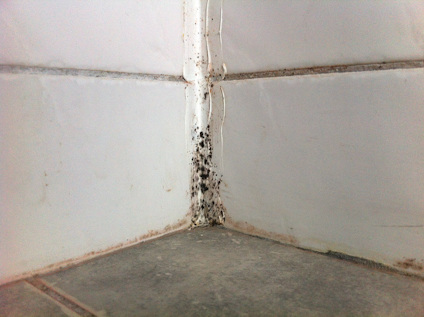 Vägg- och golvhörn med mögelväxt i skarv mellan vita plattor och grått golv.