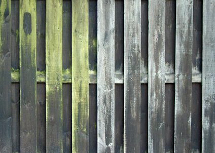 GRÖN-FRI 5 L BIOCID