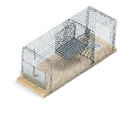 RÅTTBUR 6609 NYBY - Nyby